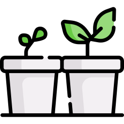 Sprout icon