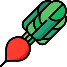 Radish icon