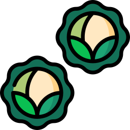 Brussels sprouts icon