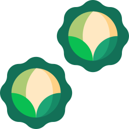 브뤼셀 콩나물 icon