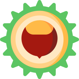 Chestnut icon