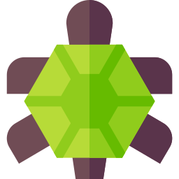 Turtle icon