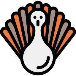 Turkey icon