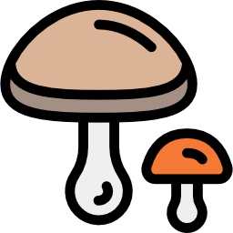 Mushrooms icon