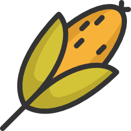 Corn icon