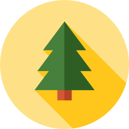 Pine icon