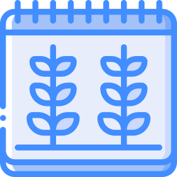 Date icon