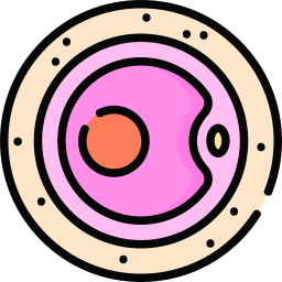 ovule Icône