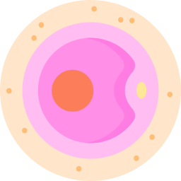 Яйцеклетка иконка
