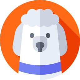 French poodle icon