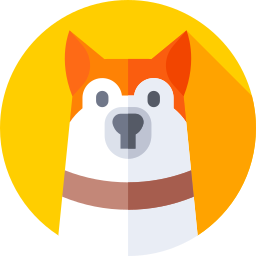 Jack russell terrier icon