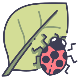 Ladybug icon