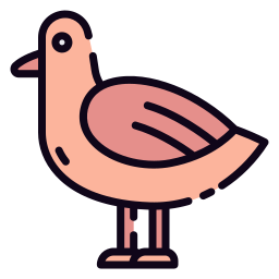 Seagull icon