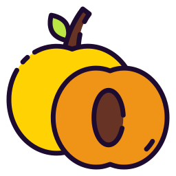 Apricot icon