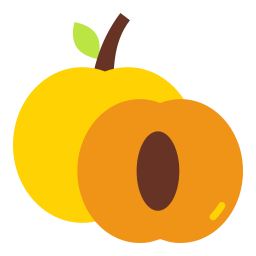 Apricot icon