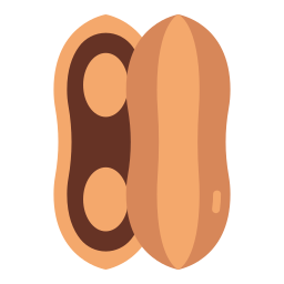 cacahuète Icône