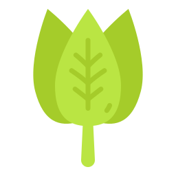 Spinach icon