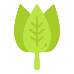 spinaci icona