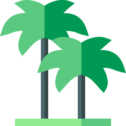 palmeras icono