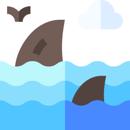 Shark icon