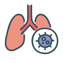 Lung icon