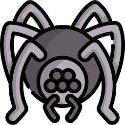 Spider icon