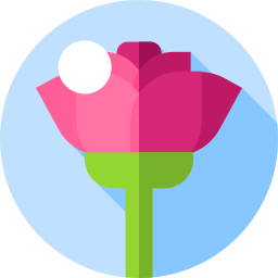 rose icon