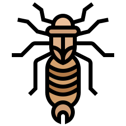 Earwig icon