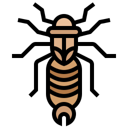oorworm icoon