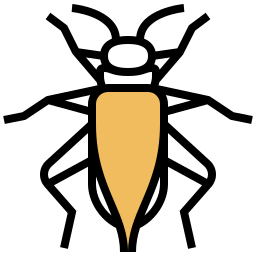 grillo icono