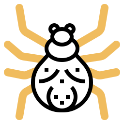 Spider icon