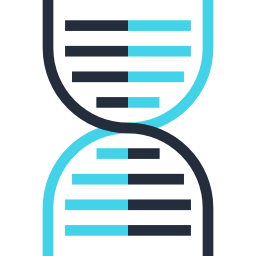 adn Icône