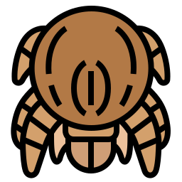 Bug icon