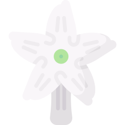 blume icon