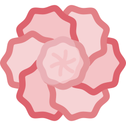 blume icon