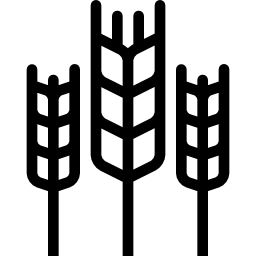 Wheat icon