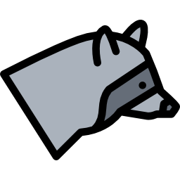 Raccoon icon