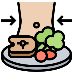 comida dietetica icono