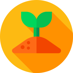 Sprout icon