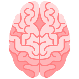 Мозг иконка