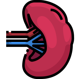Селезенка иконка