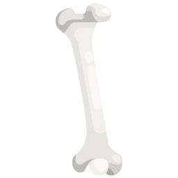 osso icona