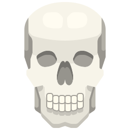 Skull icon