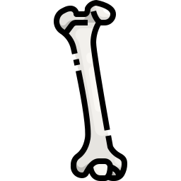 osso Ícone