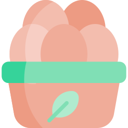 Organic eggs icon