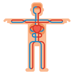 Circulatory system icon