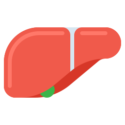 Liver icon