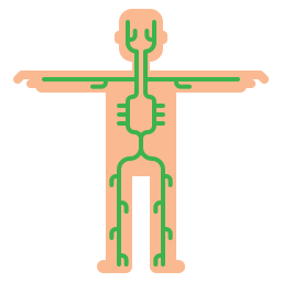 lymphgefäss icon