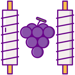 Grape icon