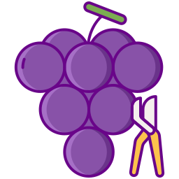 zrywać winogrona ikona